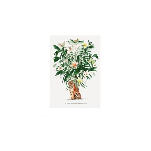 Affiches, posters 40 cm x 50 cm PM4619 - Summer Thornton - Modalova
