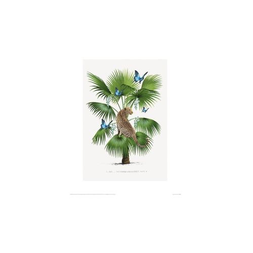 Affiches, posters 60 cm x 80 cm PM4624 - Summer Thornton - Modalova