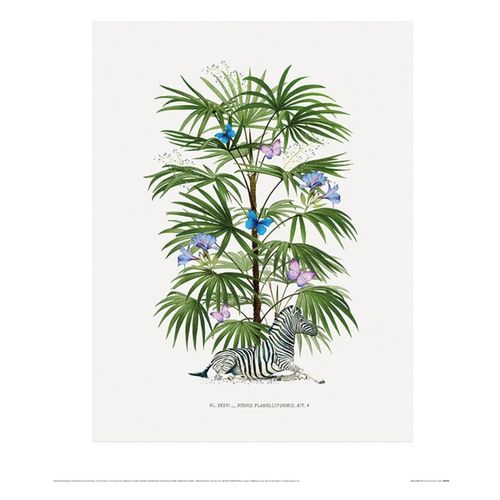 Affiches, posters 40 cm x 50 cm PM4794 - Summer Thornton - Modalova