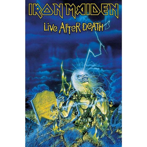 Affiches, posters 106 cm x 70 cm RO2588 - Iron Maiden - Modalova
