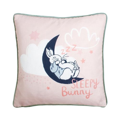 Housses de coussins 43 cm x 43 cm RV2939 - Peter Rabbit - Modalova