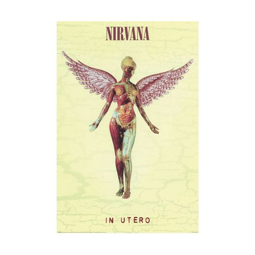 Affiches, posters 91 cm x 61 cm TA13345 - Nirvana - Modalova