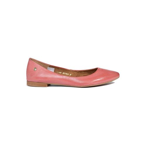 Ballerines Maciejka 4100W04008 - Maciejka - Modalova