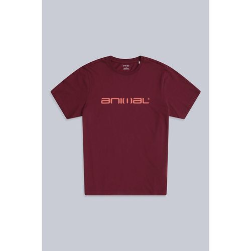 T-shirt Animal Classico - Animal - Modalova