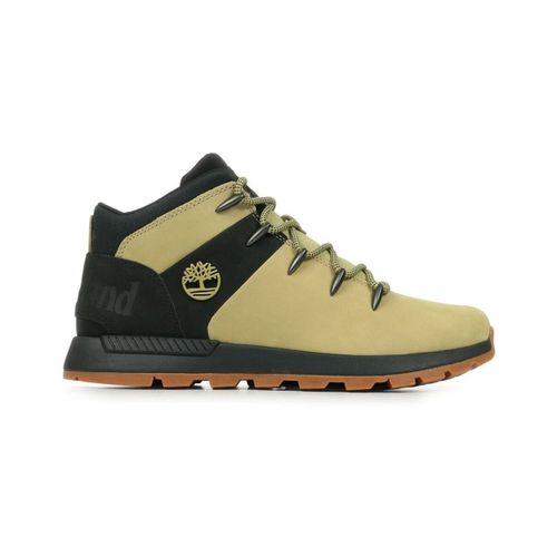 Baskets basses TB0A6AHZEN7 - Timberland - Modalova