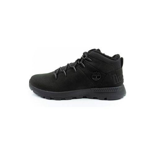 Baskets basses TB0A69KC015 - Timberland - Modalova