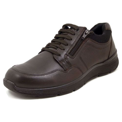Chaussures Derby, Cuir souple, Lacets et Zip - TEDDY502 - Osvaldo Pericoli - Modalova
