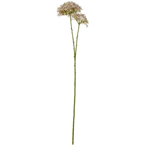Plantes artificielles HI4817 - Hill Interiors - Modalova