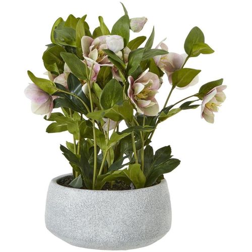 Plantes artificielles HI5076 - Hill Interiors - Modalova