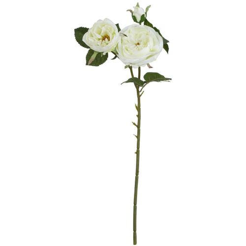 Plantes artificielles HI5080 - Hill Interiors - Modalova