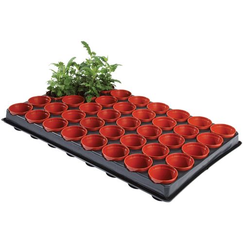 Vases, caches pots d'intérieur ST3031 - Ambassador - Modalova