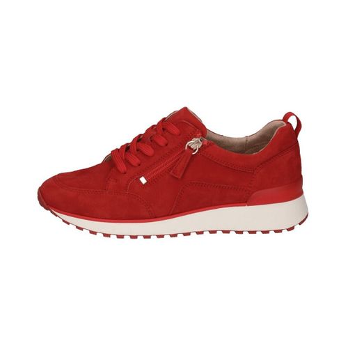 Baskets basses Caprice 92370242524 - Caprice - Modalova