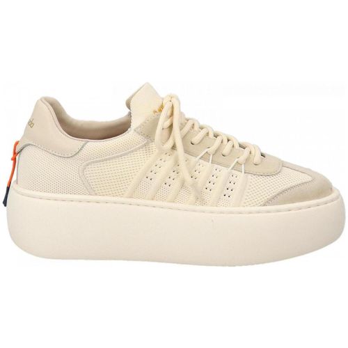 Baskets basses BOLLA V2775 - Barracuda - Modalova
