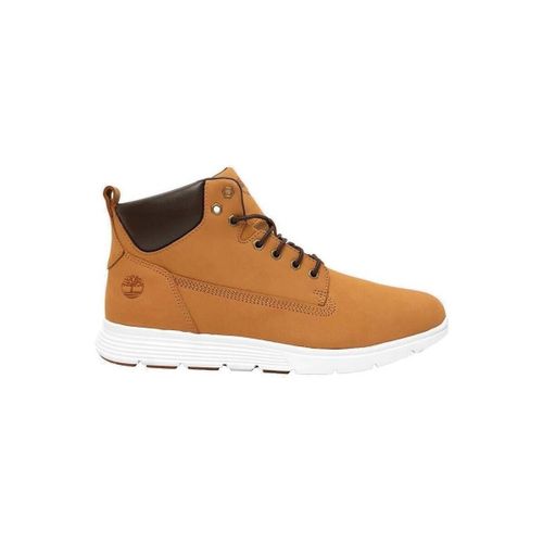 Baskets montantes TB0A6BE5754 - Timberland - Modalova