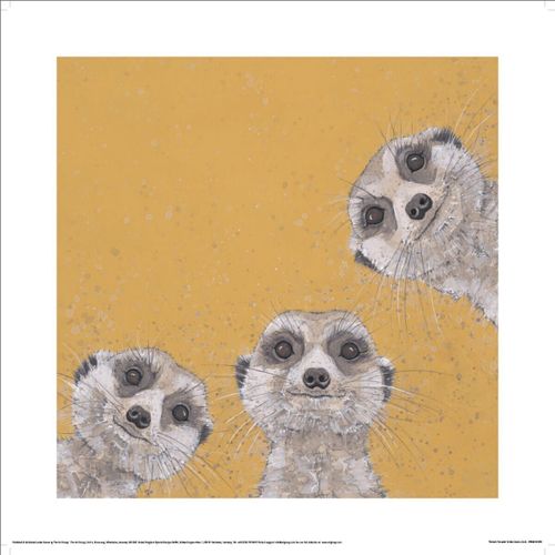 Affiches, posters 40 cm x 40 cm PM13243 - Bev Davies - Modalova