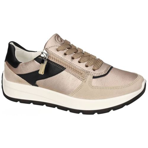 Baskets basses 12-25112 - (08h) New York - Ara - Modalova