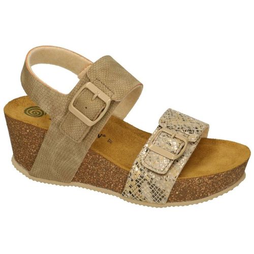 Sandales compensées Rachel - Spartoo.com - Modalova