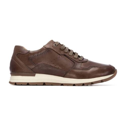 Baskets basses Carmela 16390703 - Carmela - Modalova