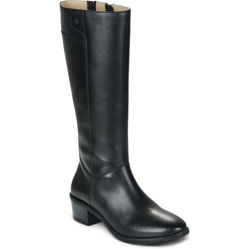 Bottes à talon Betty London ALICIA - Betty London - Modalova