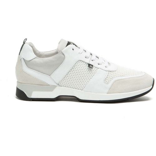 Baskets basses ROSARIO GRIS+BLANC - Azzaro - Modalova