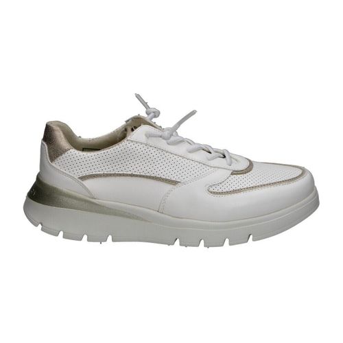 Baskets basses Pitillos 116816 - Pitillos - Modalova