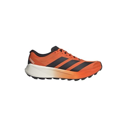 Baskets basses Terrex Agravic 4 - adidas - Modalova