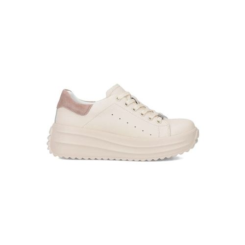 Baskets basses Filippo DP673925BE - Filippo - Modalova
