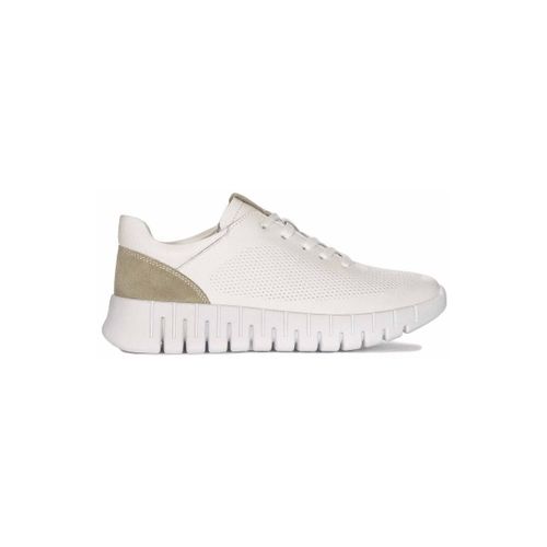 Baskets basses Filippo DP603524WH - Filippo - Modalova