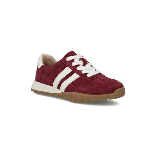 Baskets basses Filippo DP753426BG - Filippo - Modalova