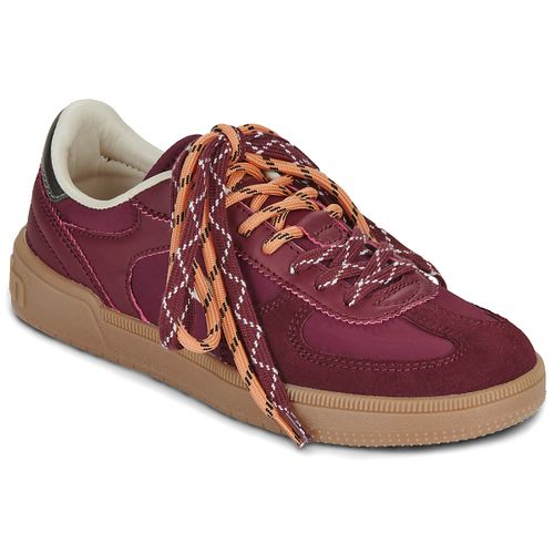 Baskets basses D.Franklin 387 REBEL - D.Franklin - Modalova