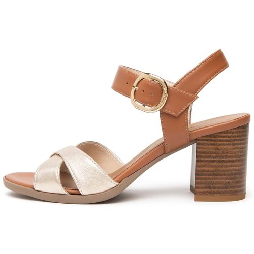 Sandales Etoile Sand Miele Armenia Cognac Tr Aulla Col.Taba - NeroGiardini - Modalova