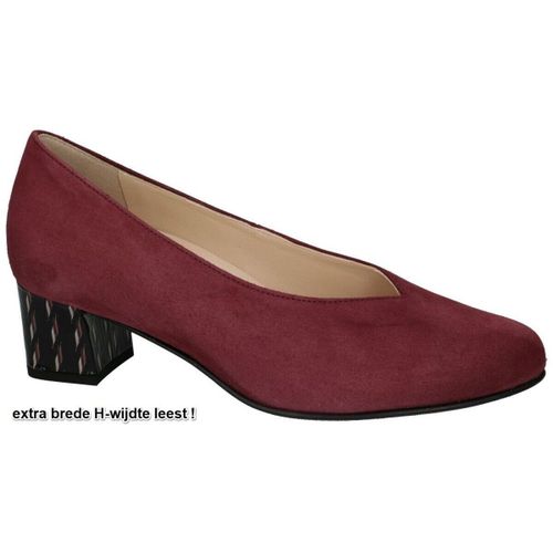 Chaussures escarpins 4-30 4936 Florenz (h) - Hassia - Modalova