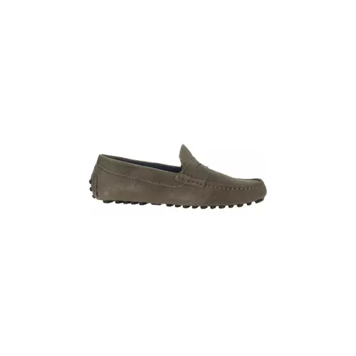 Mocassins Azzaro Chaussures SOL - Azzaro - Modalova