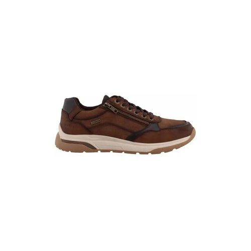 Baskets basses Baskets 84R0051001 - Westland - Modalova