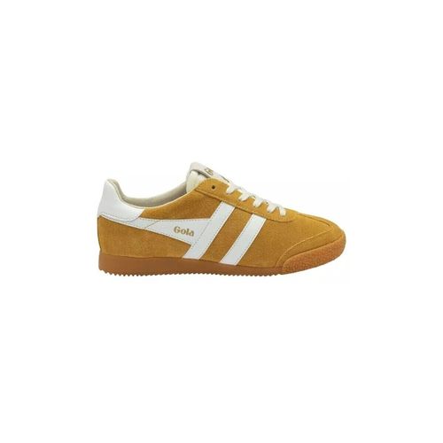 Baskets basses Gola Baskets ELAN - Gola - Modalova