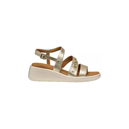 Sandales compensées Chaussures D550EF - Geox - Modalova