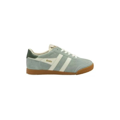 Baskets basses Chaussures CLB538 - Gola - Modalova