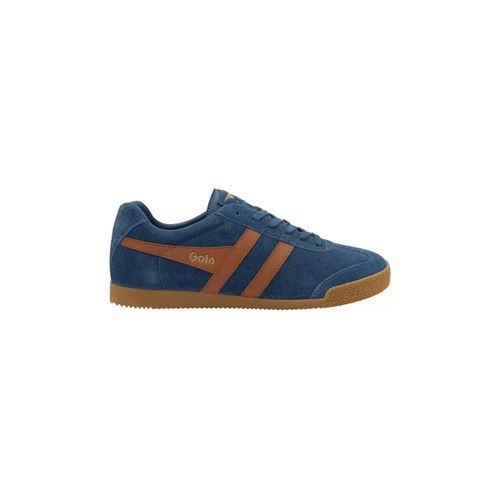 Baskets basses Chaussures CMA192 - Gola - Modalova