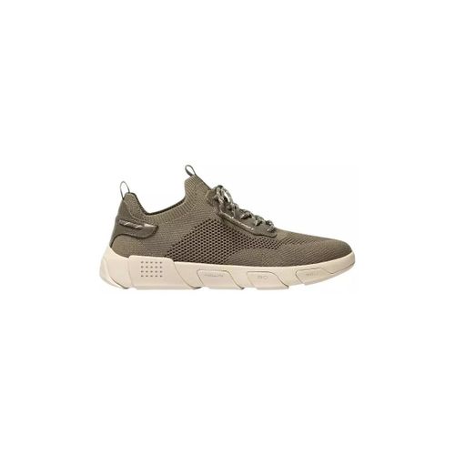 Baskets basses Chaussures JAZSAIL - TBS - Modalova