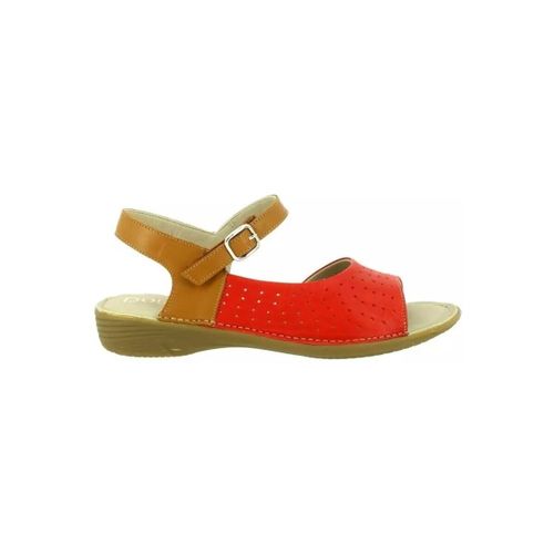 Sandales plates Dorking Chaussures - Dorking - Modalova
