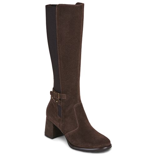 Bottes à talon I617696D - NeroGiardini - Modalova