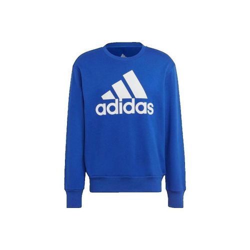 Sweatshirts Sweat-shirt Essentials French Terry Big Logo bleu royal - adidas - Modalova