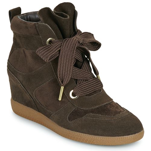 Baskets montantes MAEVE - Steve Madden - Modalova