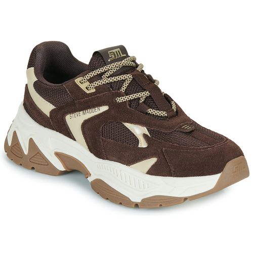 Baskets basses Steve Madden AMPLE - Steve Madden - Modalova
