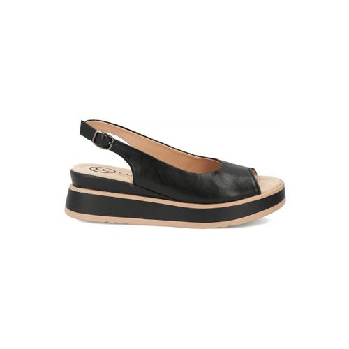 Baskets Filippo DS615326BK - Filippo - Modalova