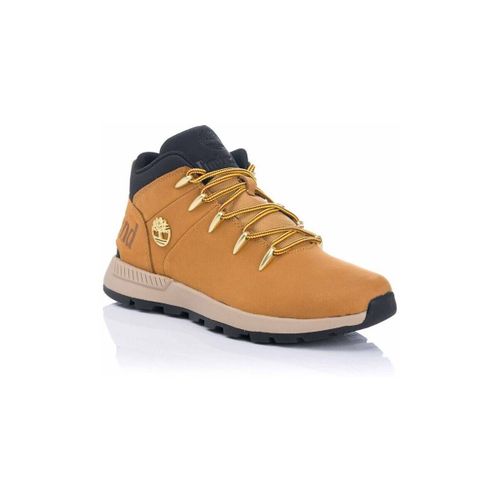 Bottes Botte Sprint Trekker Mid - Timberland - Modalova