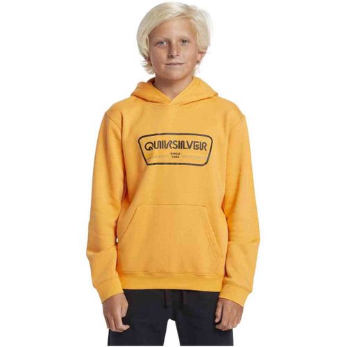 Sweatshirts à capuche 49660378382675 - Quiksilver - Modalova