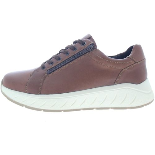Baskets basses Solidus Ken - Solidus - Modalova