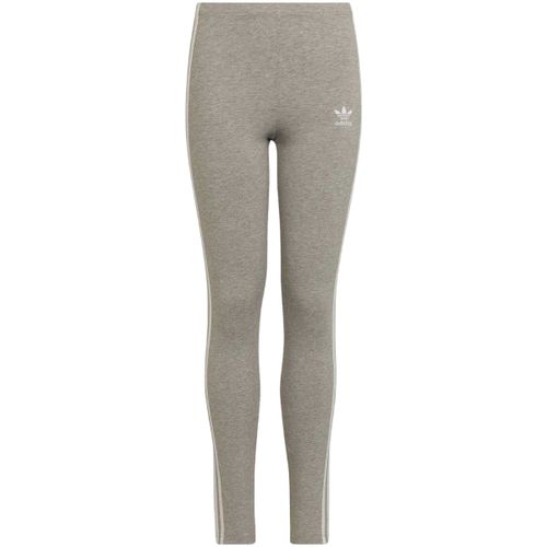 Collants adidas Adicolor - adidas - Modalova