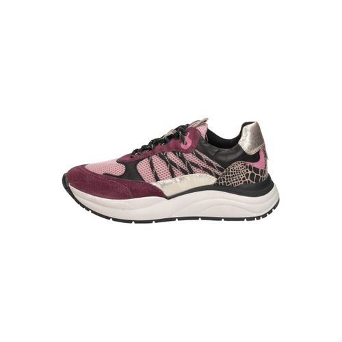 Baskets basses Sub55 Sneakers Laag - Sub55 - Modalova
